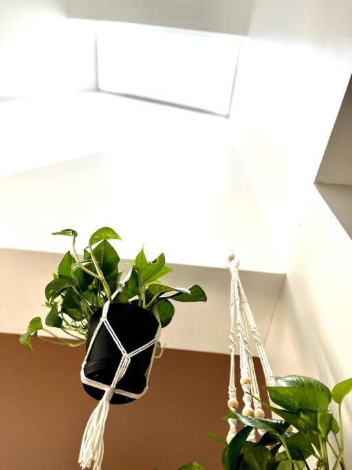 City Skyline Views In A Great Neighborhood Apartment Нашвил Екстериор снимка